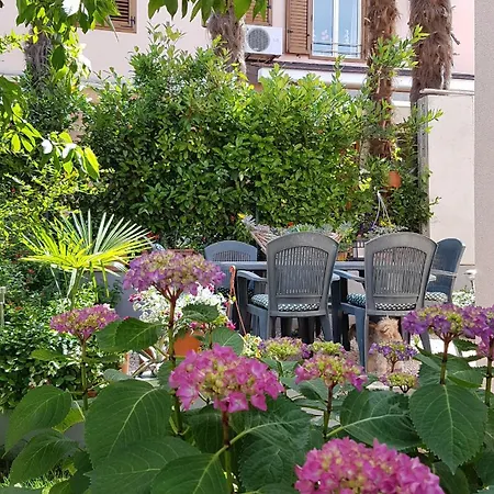 Tatil Evi Holiday Topic *