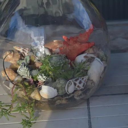 Tatil Evi Holiday Topic Poreč